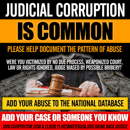 Help document a pattern of judicial abuse